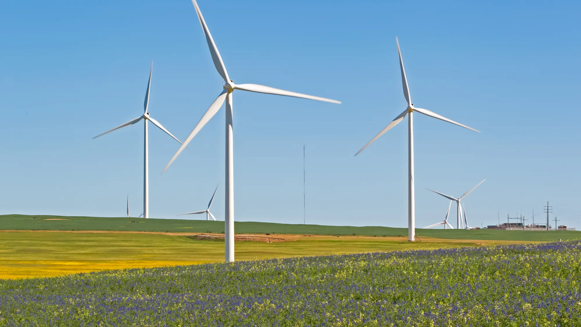 Image Title Image Title