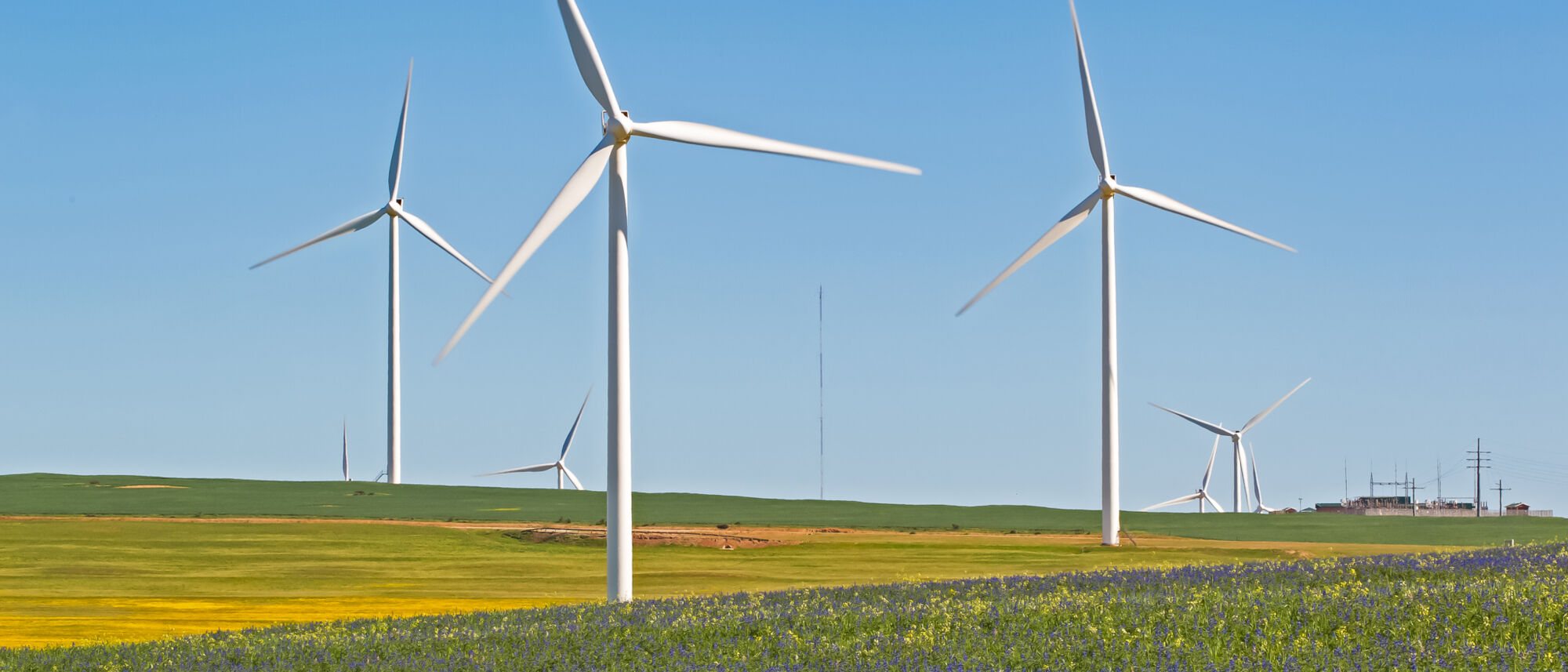 Image Title Image Title