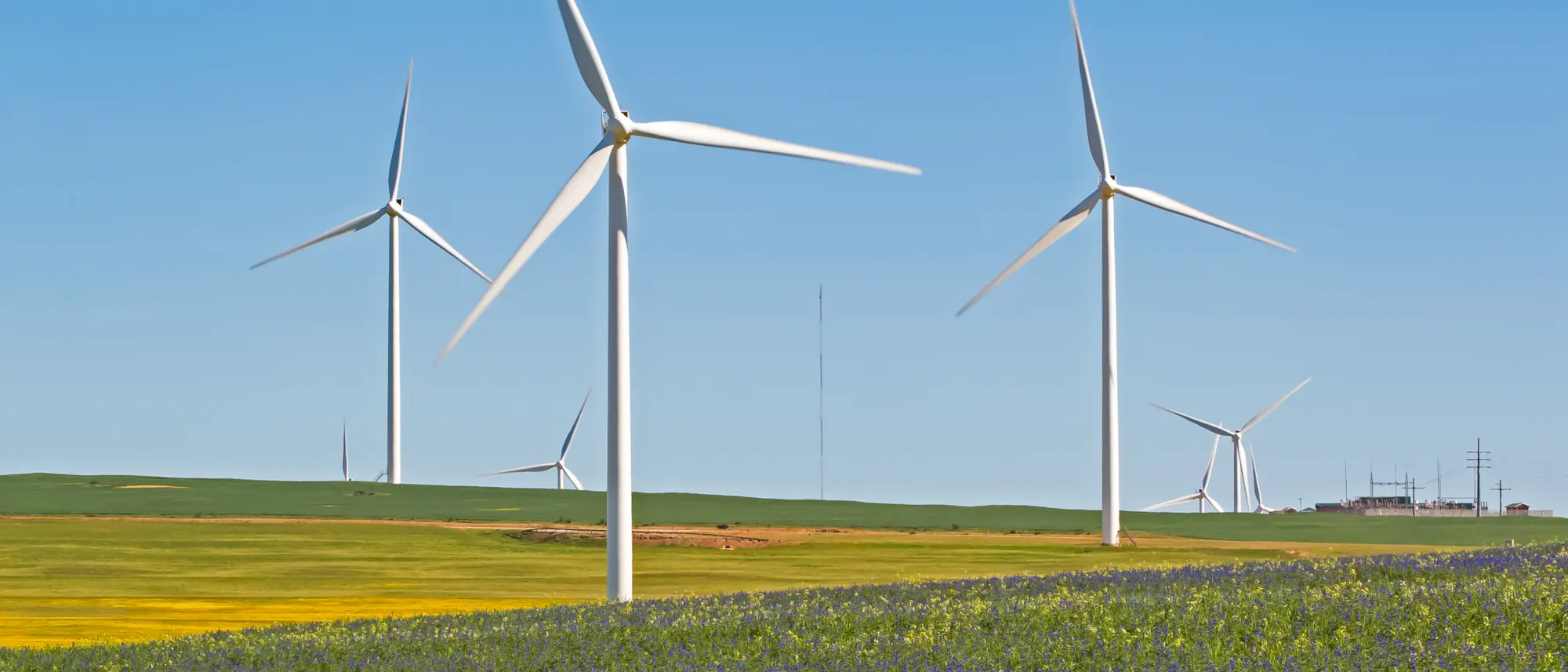 Image Title Image Title