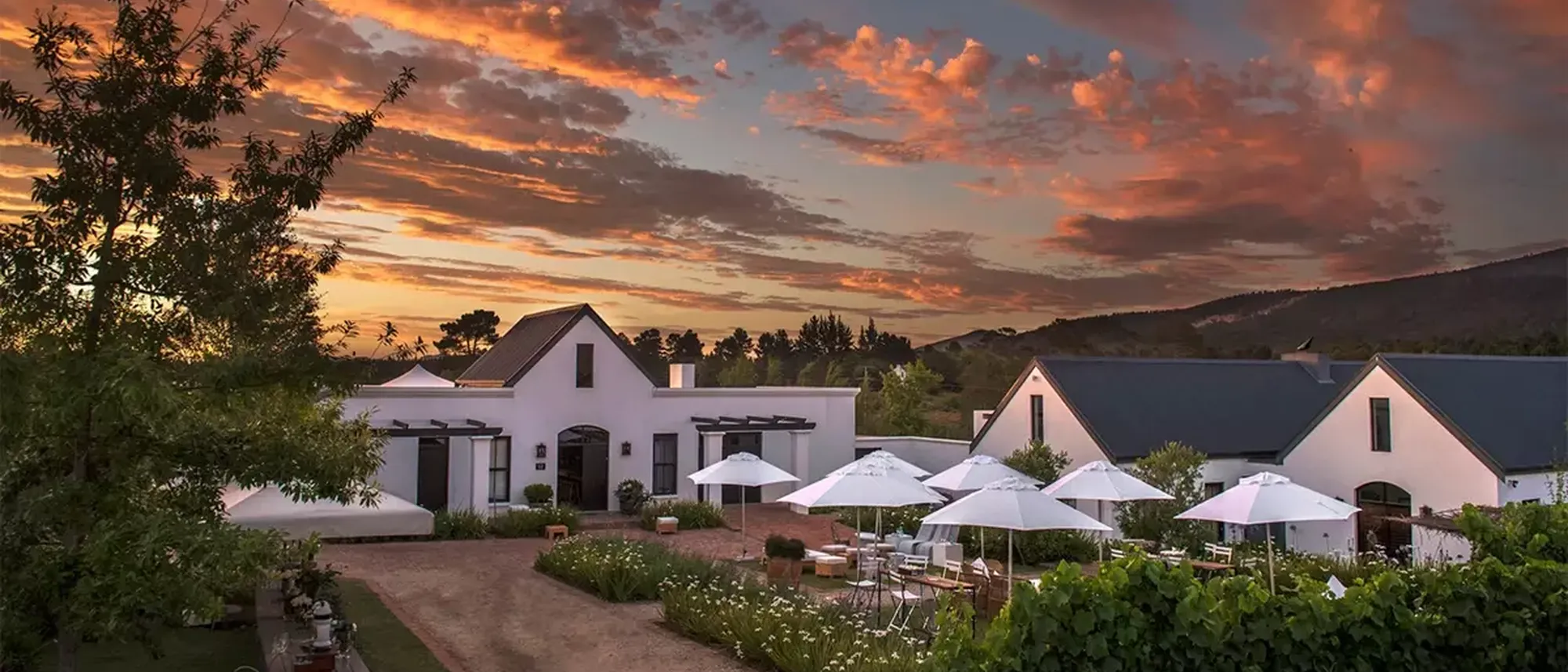 Image Title Image Title