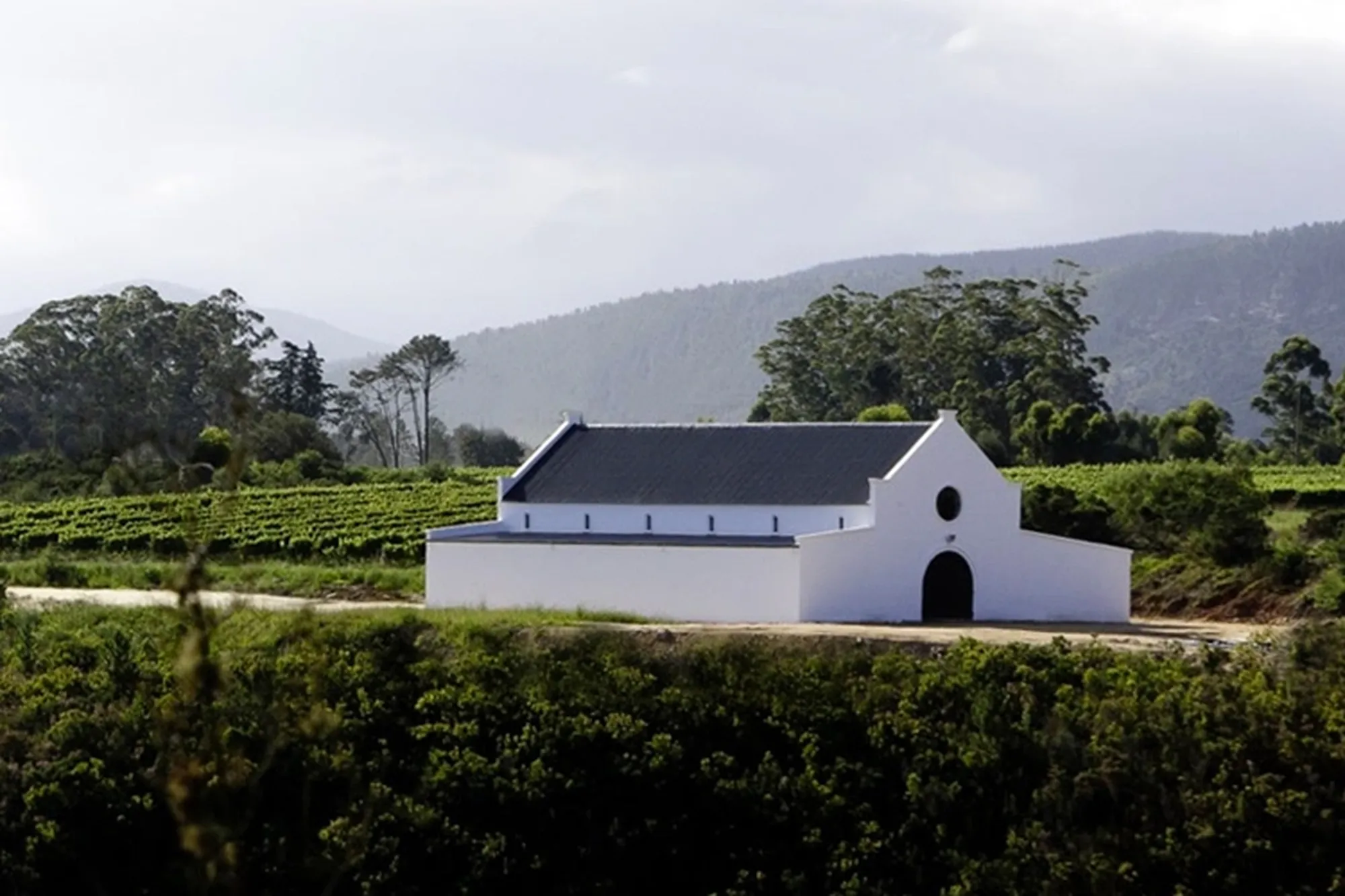 Plettenberg bay winelands bramon Plettenberg bay winelands bramon