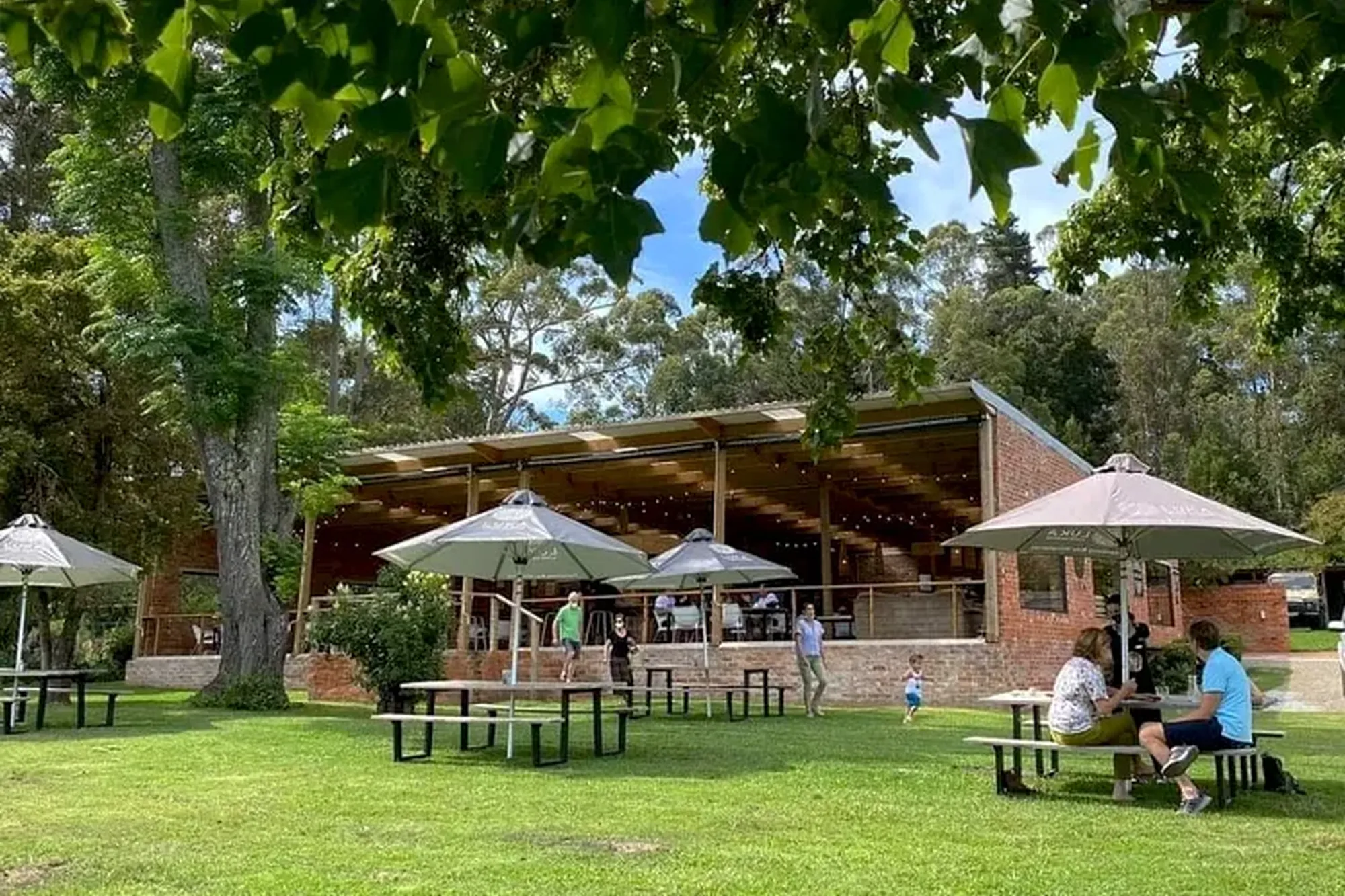 Plettenberg bay winelands luka vineyards Plettenberg bay winelands luka vineyards