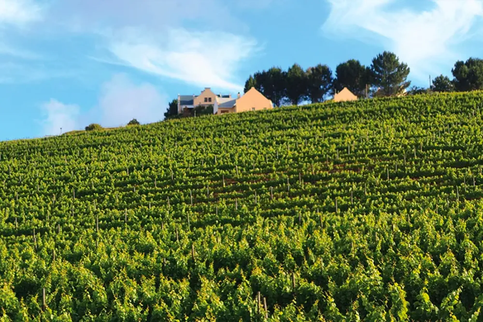 Plettenberg bay winelands plettenvale Plettenberg bay winelands plettenvale