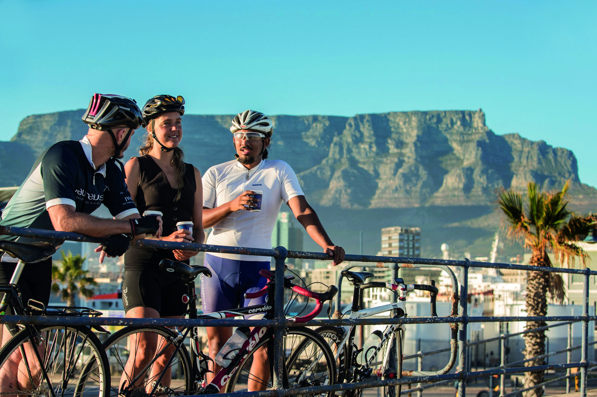 Retroyspective CCR CPT 12 repro Retroyspective CCR CPT 12 repro