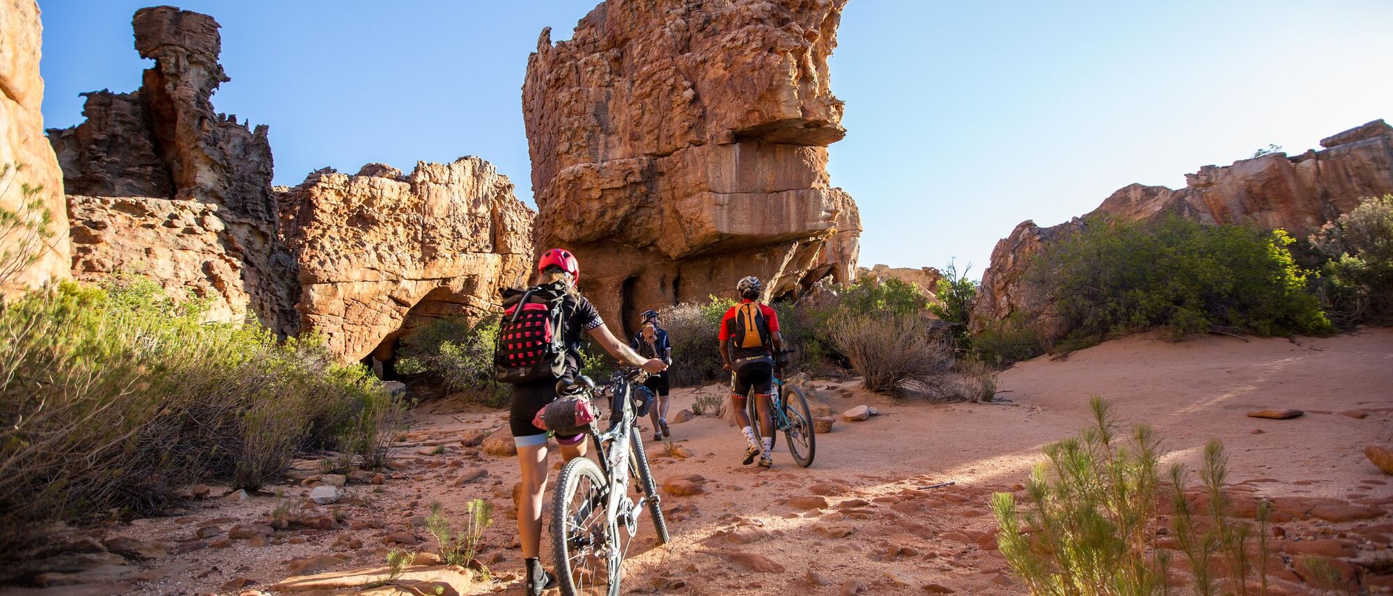 Image Title Image Title