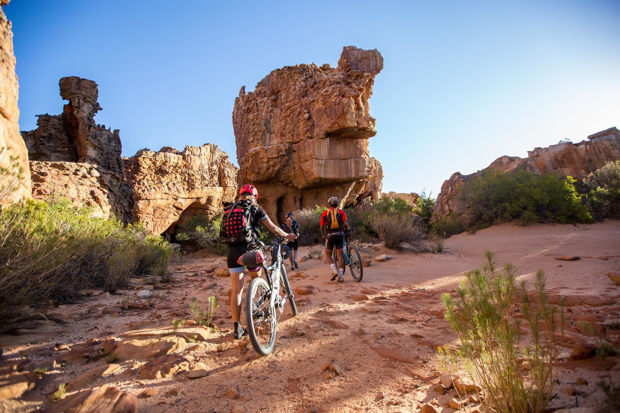 Image Title Image Title