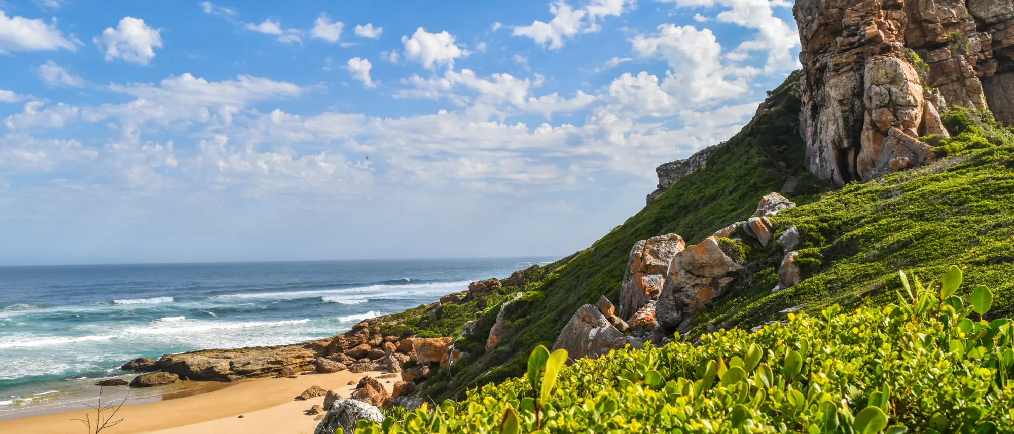 Image Title Image Title