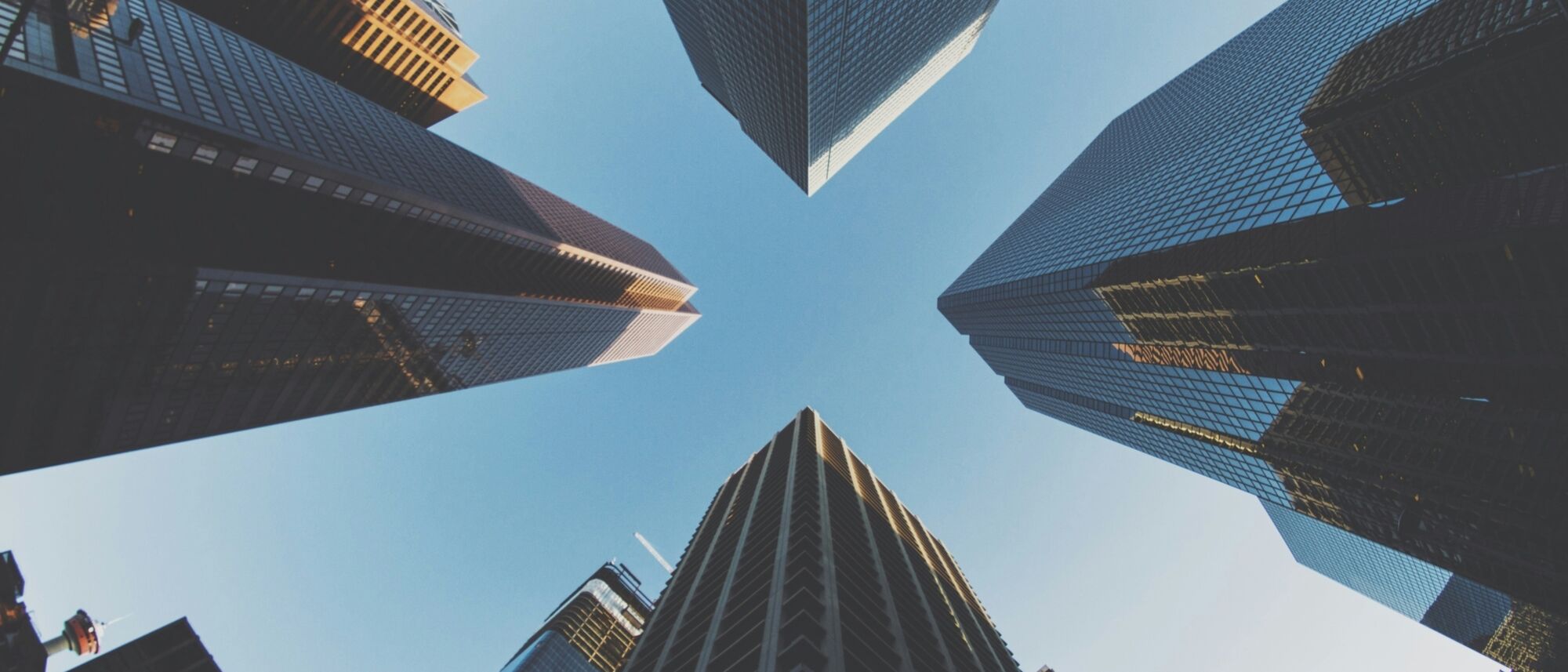 Image Title Image Title