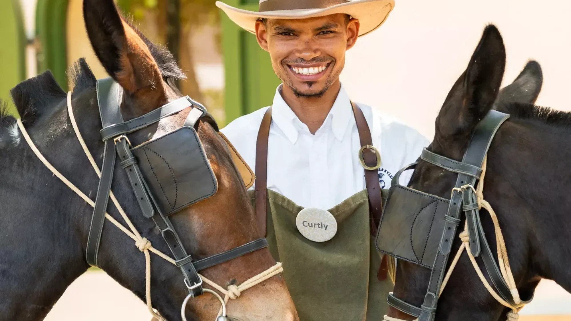 Image Title Image Title