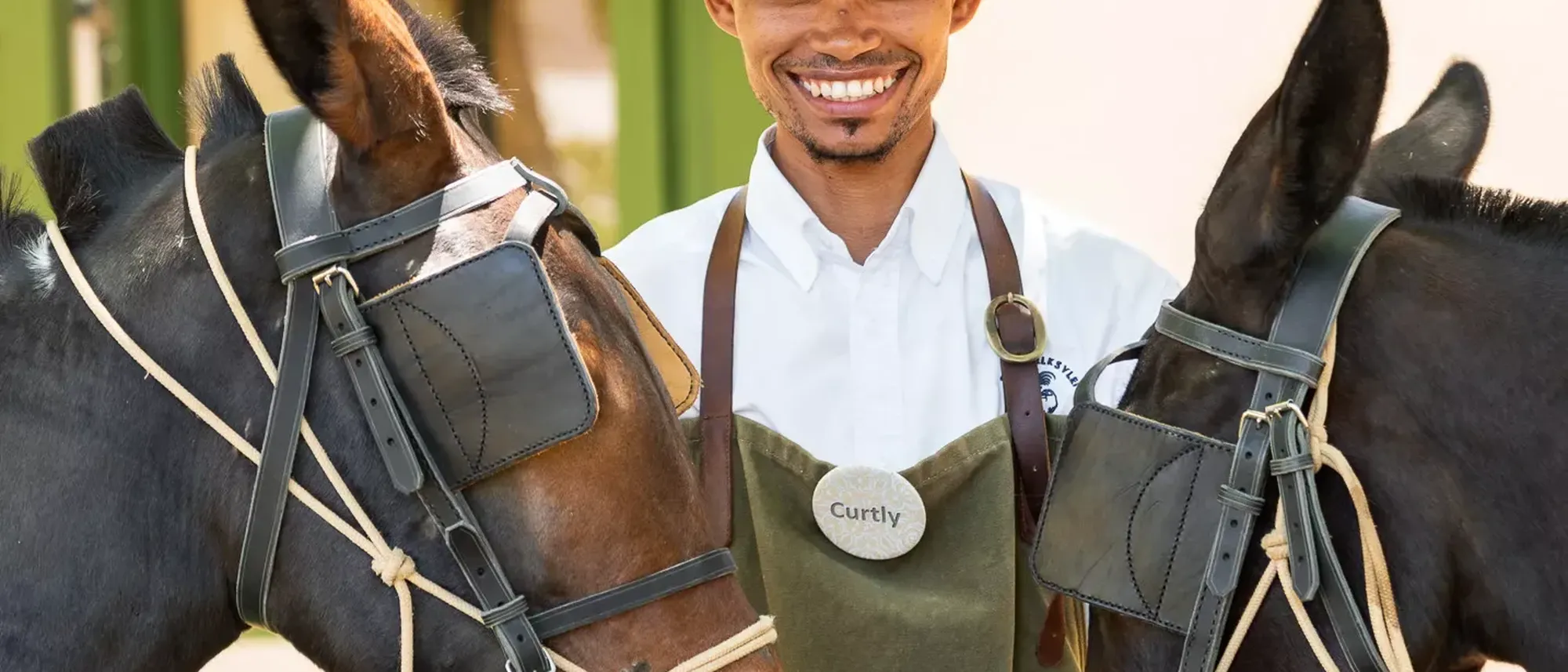 Image Title Image Title