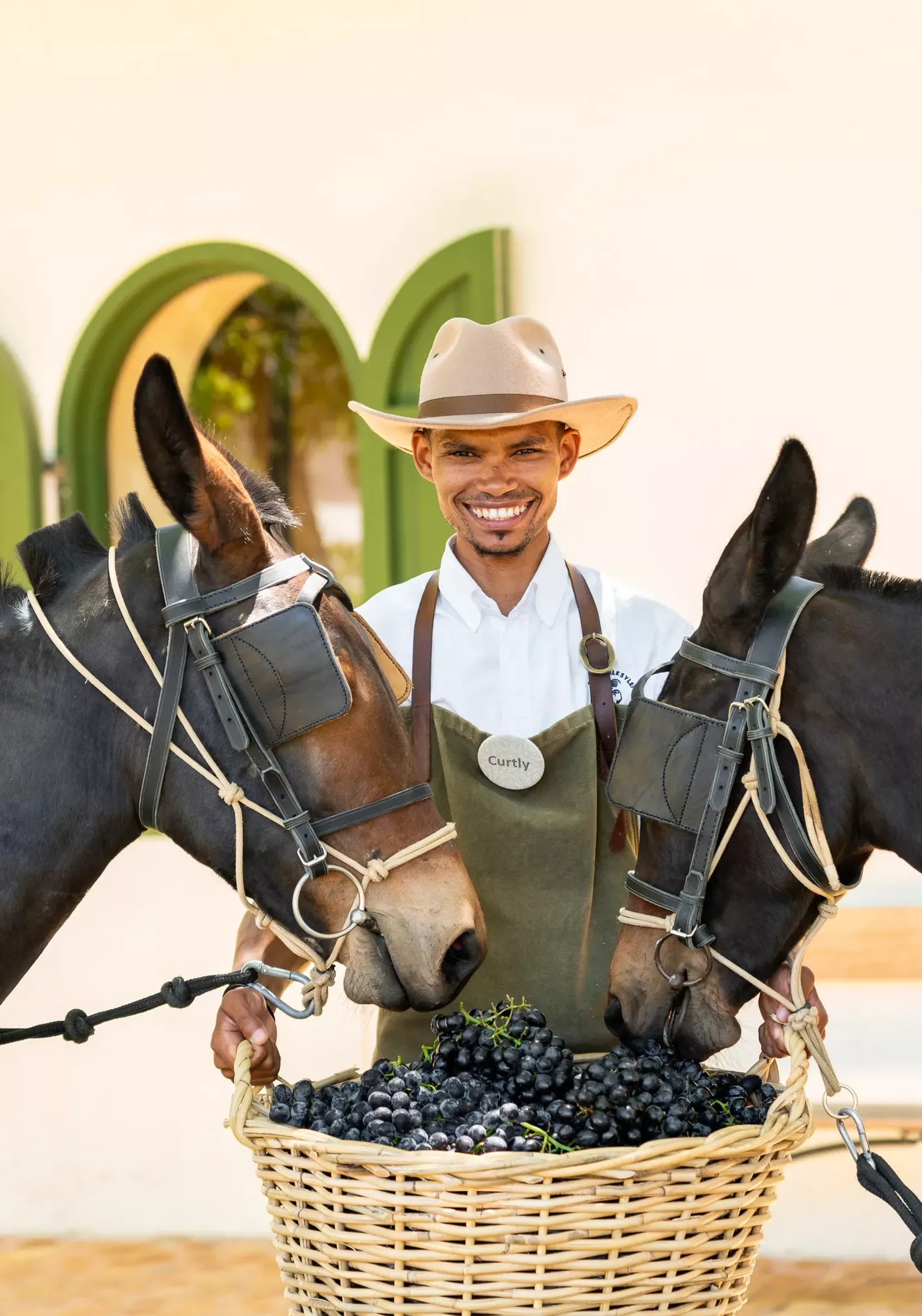 Smv pars portrait 1 jpg Smv pars portrait 1 jpg