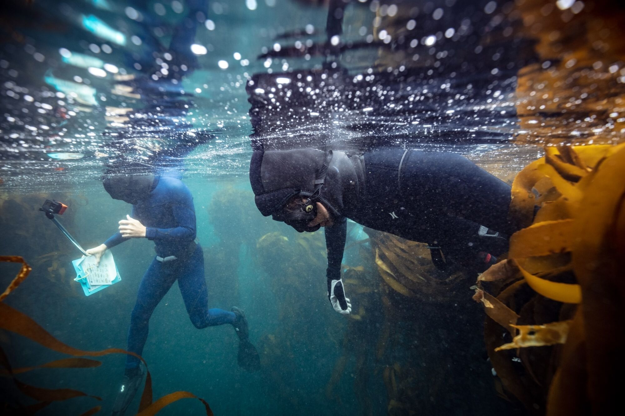 Snorkel300dpi Snorkel300dpi