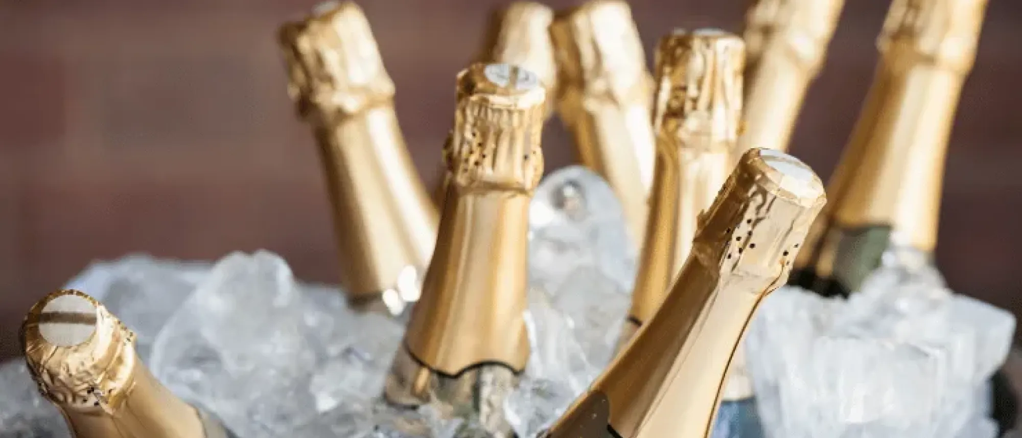 Image Title Image Title