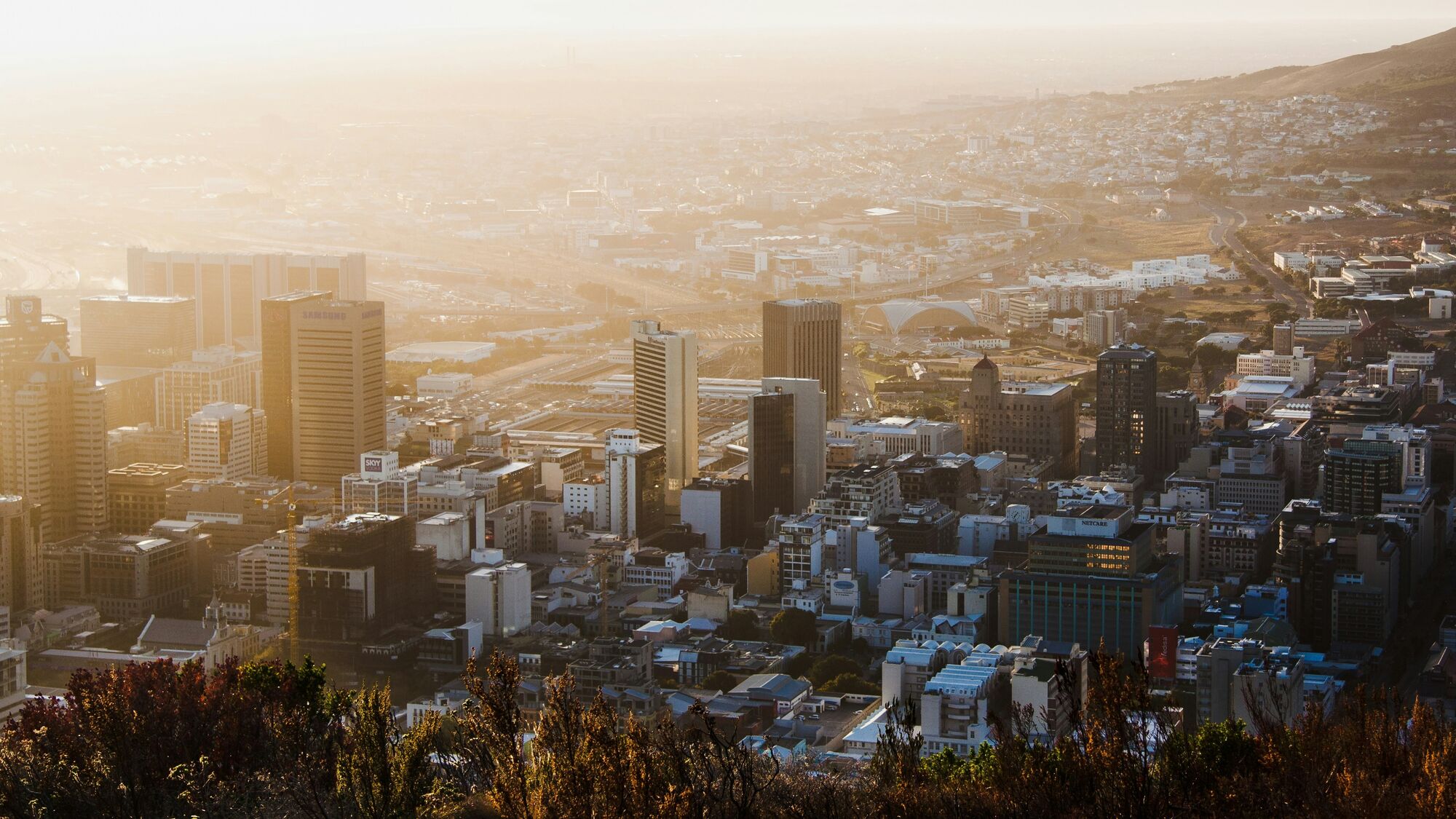 Image Title Image Title