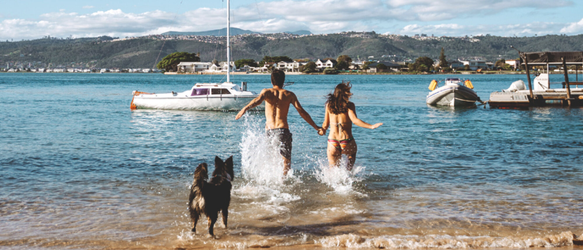 Image Title Image Title