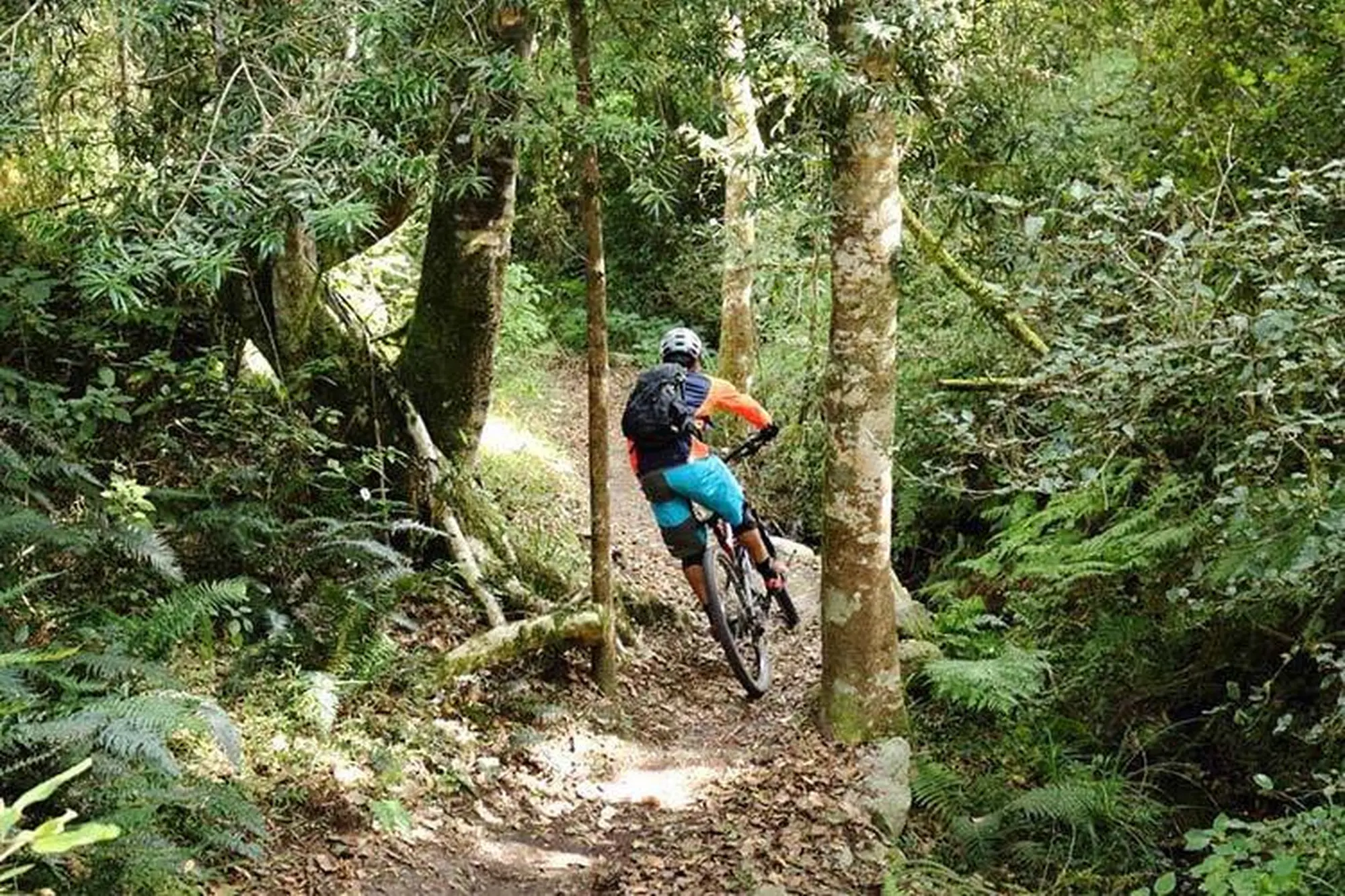 To do sedgefield garden route trail park To do sedgefield garden route trail park