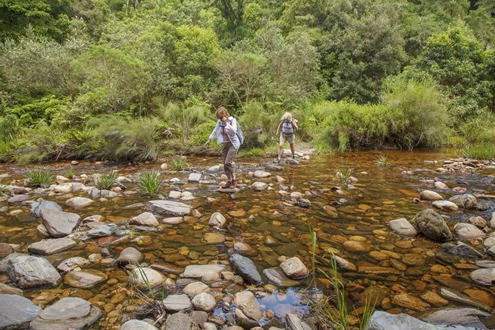 To do wilderness kingfisher trail To do wilderness kingfisher trail