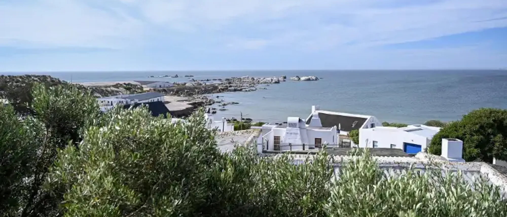 Image Title Image Title