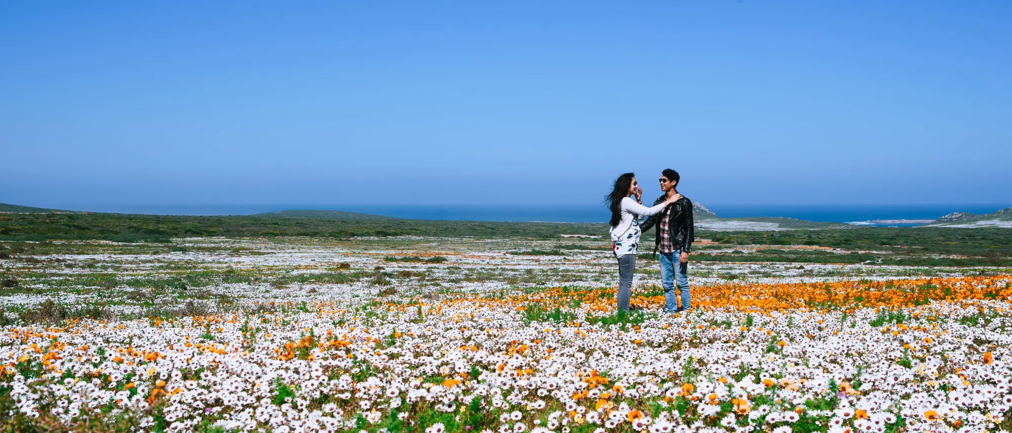 Image Title Image Title