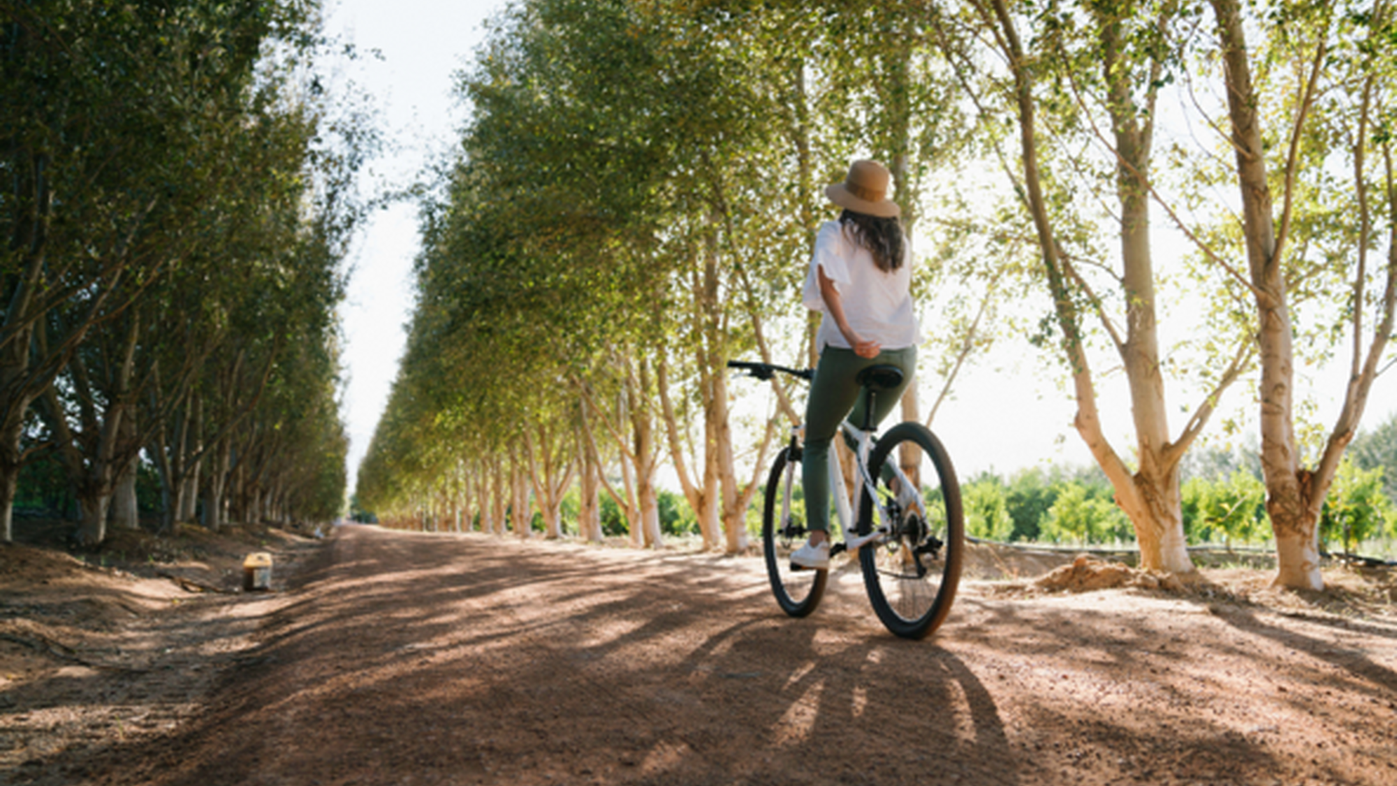 Image Title Image Title