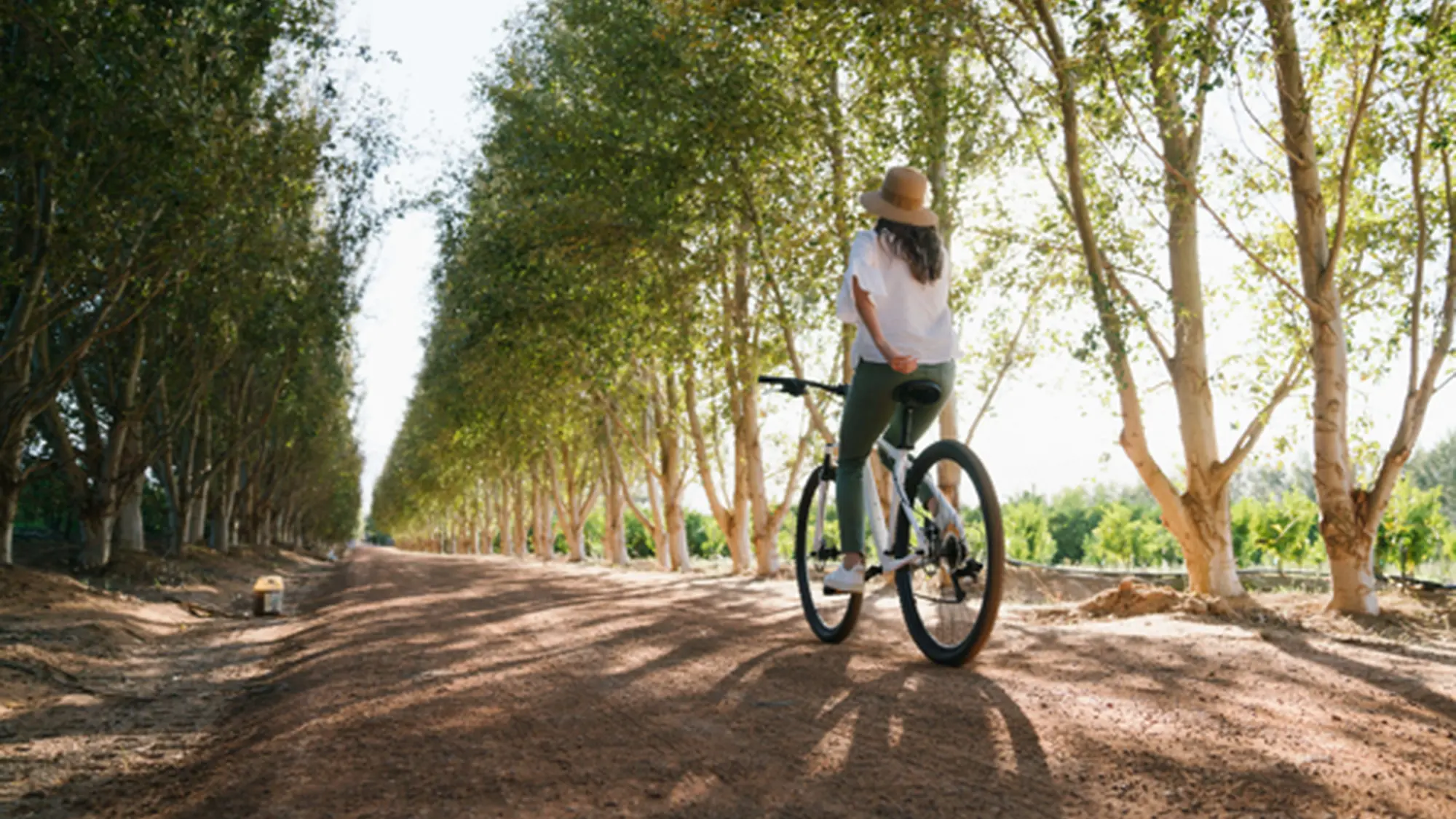 Image Title Image Title