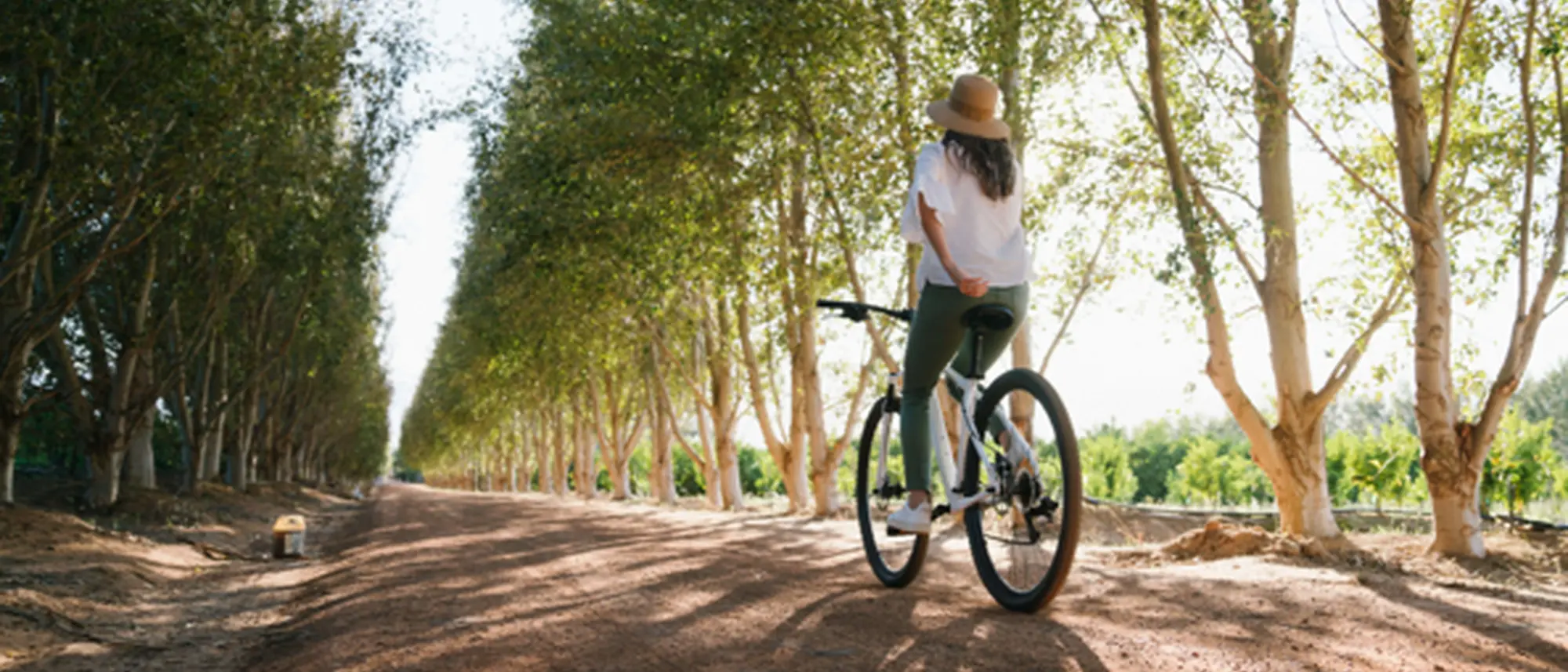 Image Title Image Title