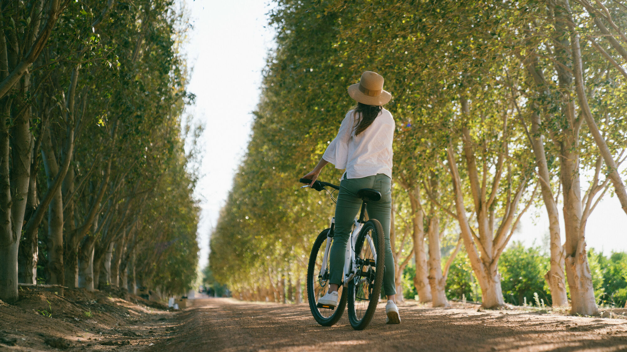 Image Title Image Title