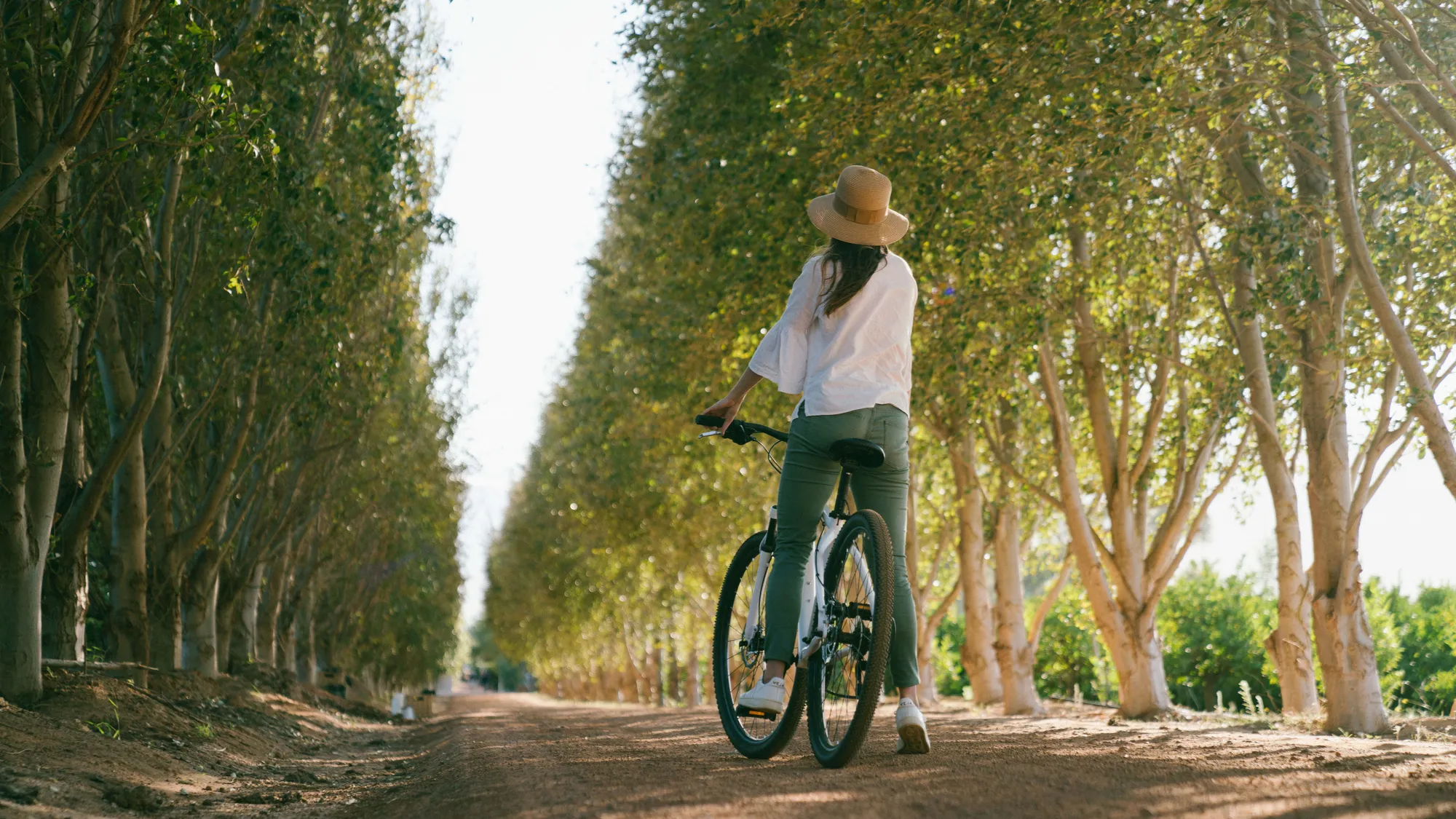 Image Title Image Title