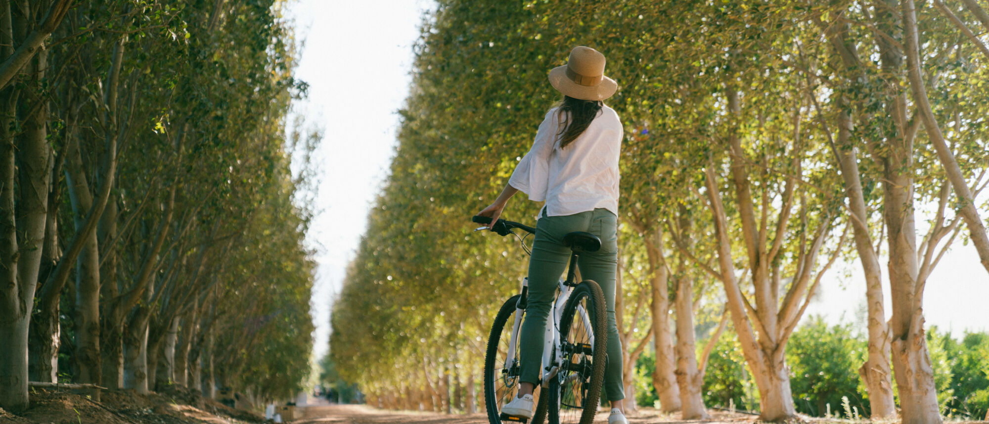 Image Title Image Title