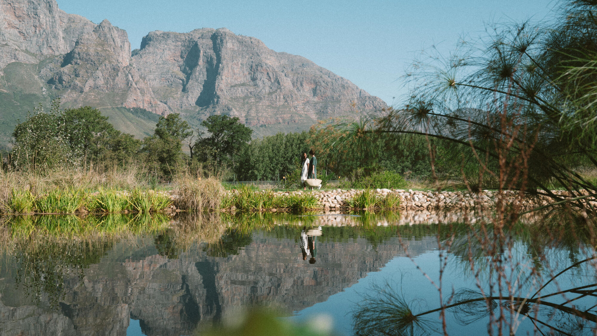 Image Title Image Title