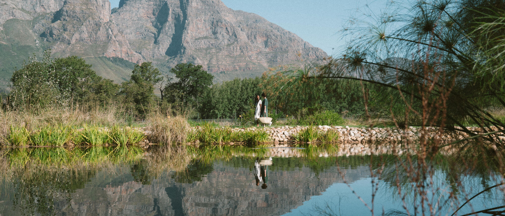 Image Title Image Title