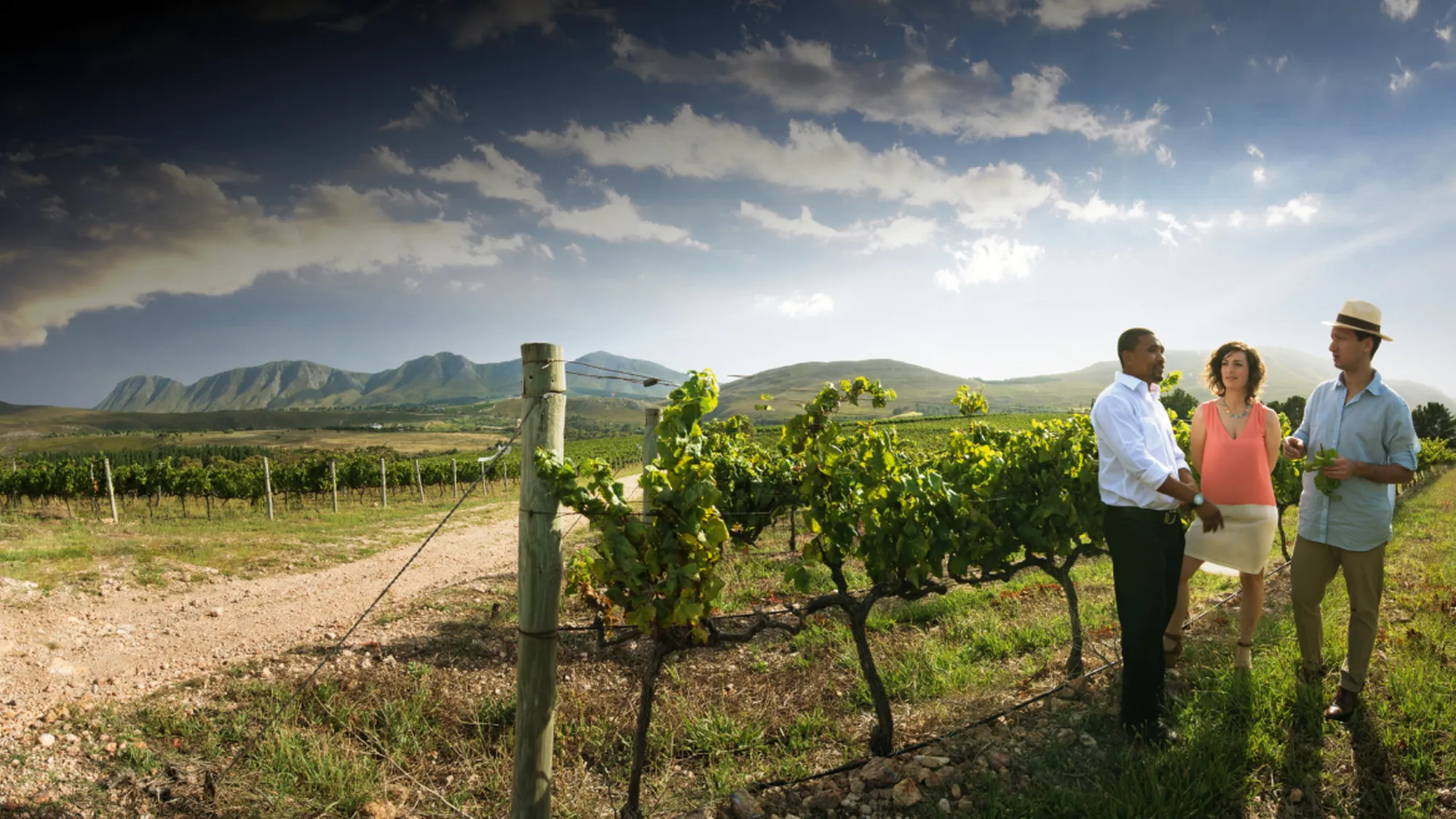 Image Title Image Title