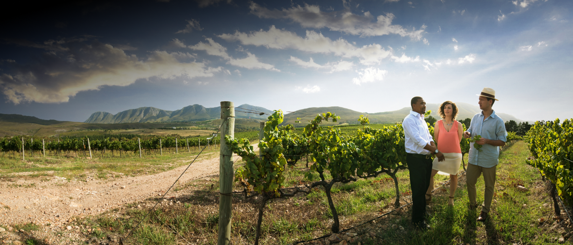 Image Title Image Title