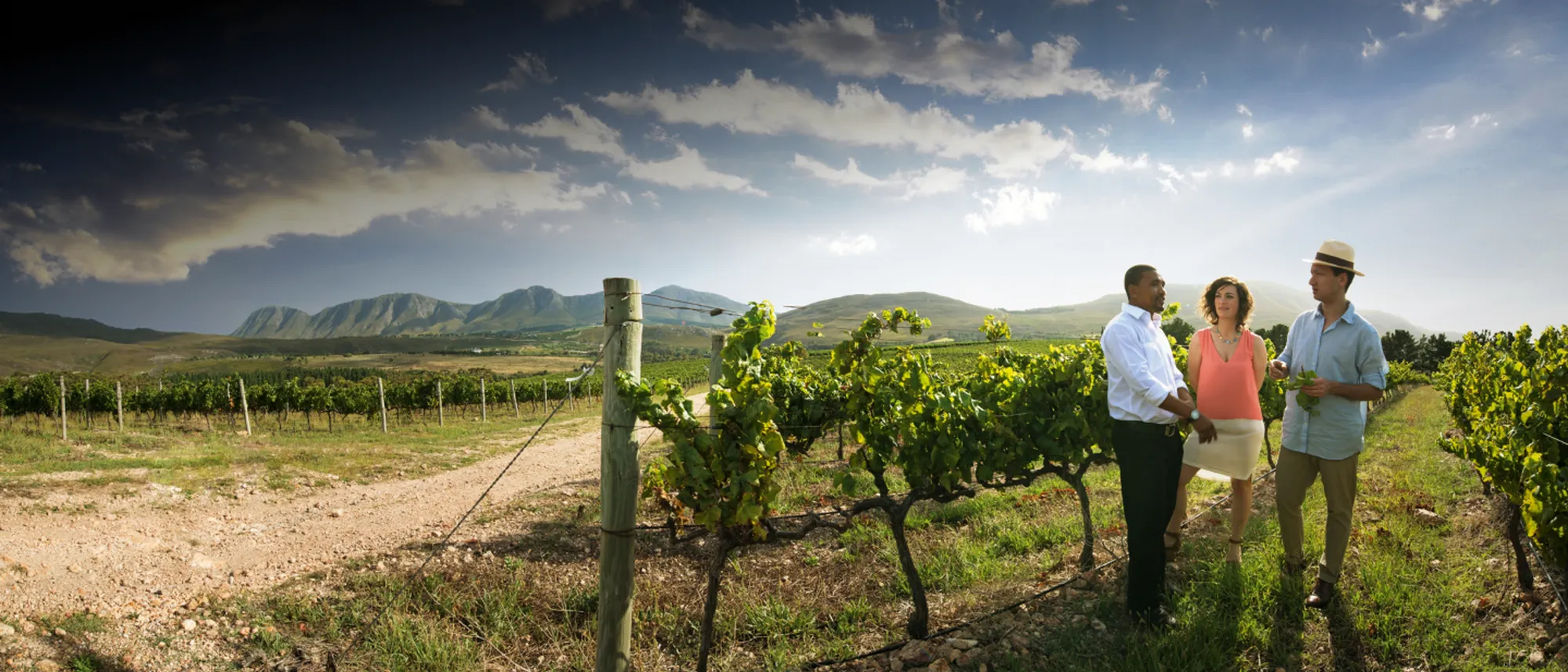 Image Title Image Title