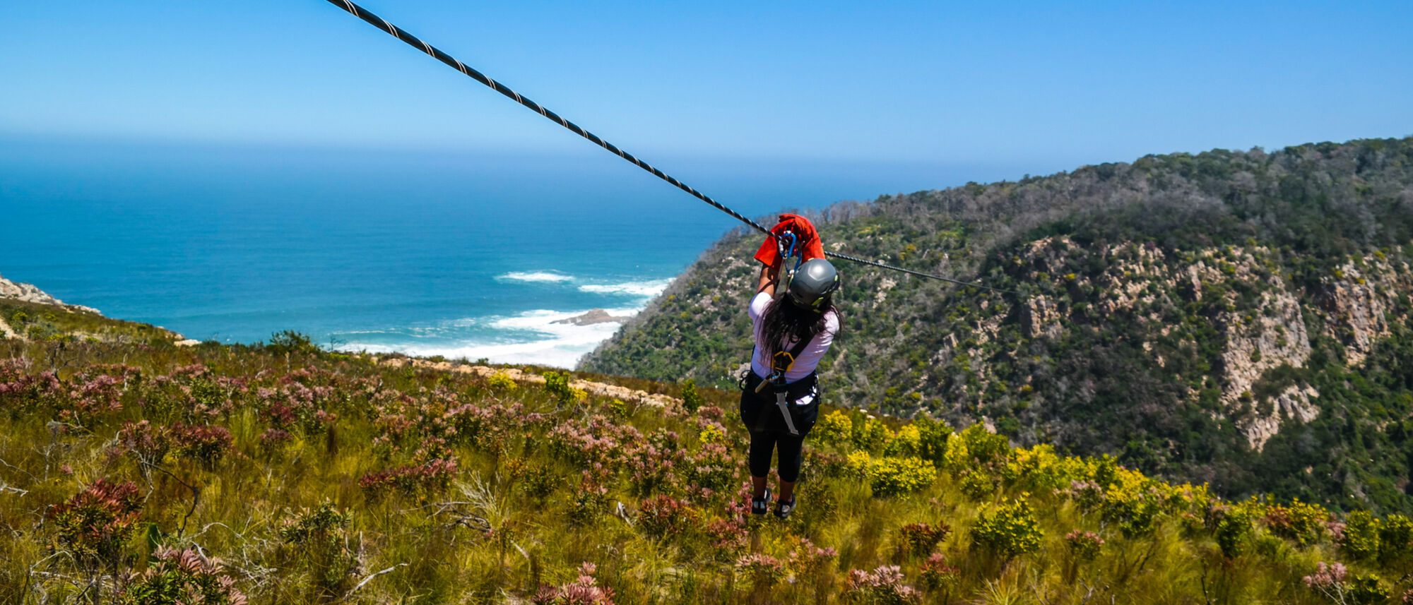 Image Title Image Title